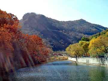 氢能源客货汽车销量排行榜（氢能源客车哪家最强）